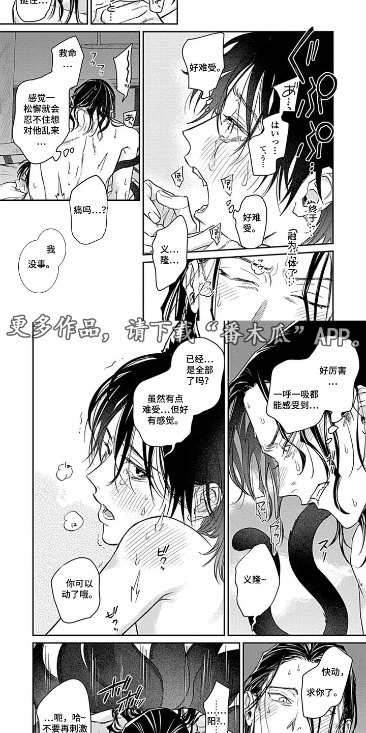 第12话：第12章：结为伴侣（完结）预览分镜