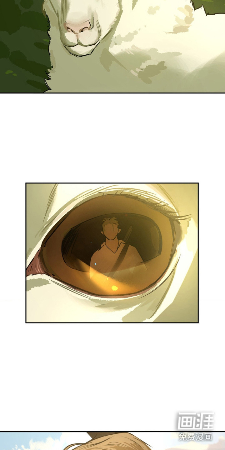 第8话：第8章：大意了预览分镜