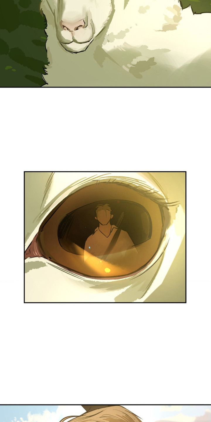 第8话：第8章：大意了预览分镜