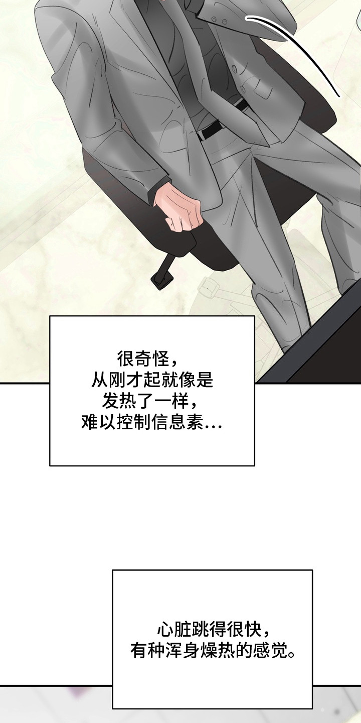 第10话：第10章：念念不忘预览分镜