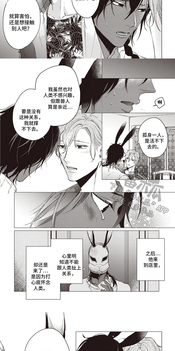 第5话：可爱预览分镜