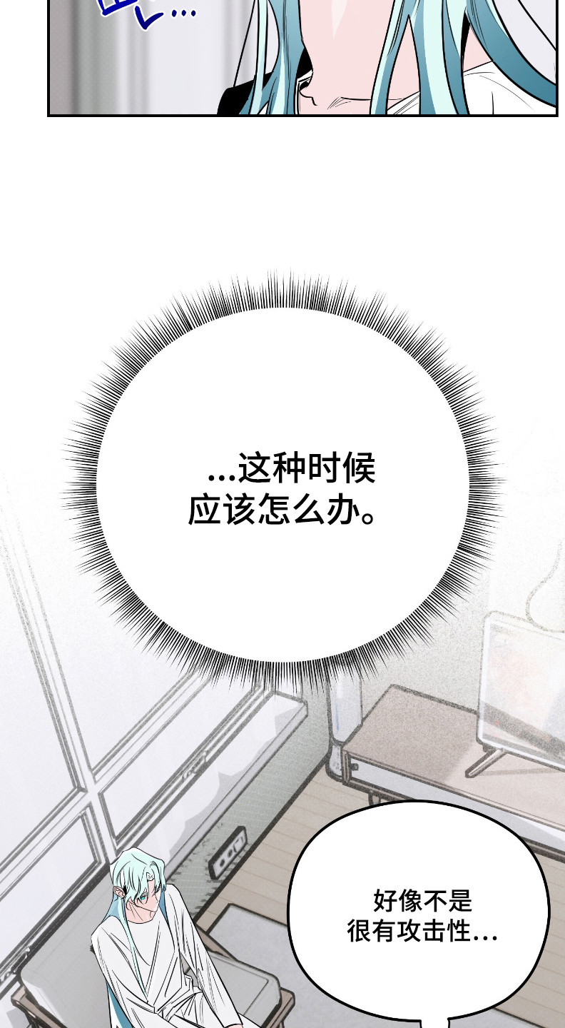 第5话：第5章： 外星人预览分镜