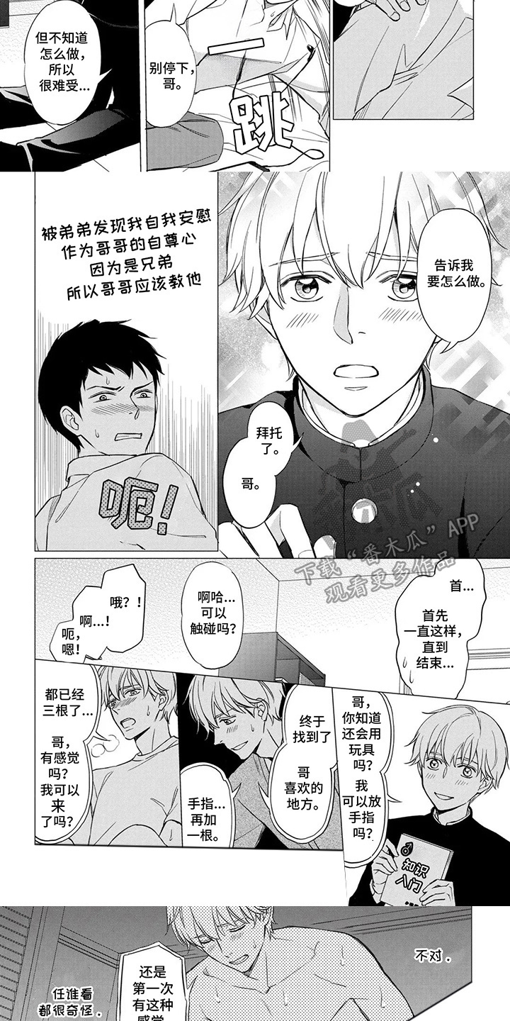 第15话：第15章：平凡的兄弟关系预览分镜