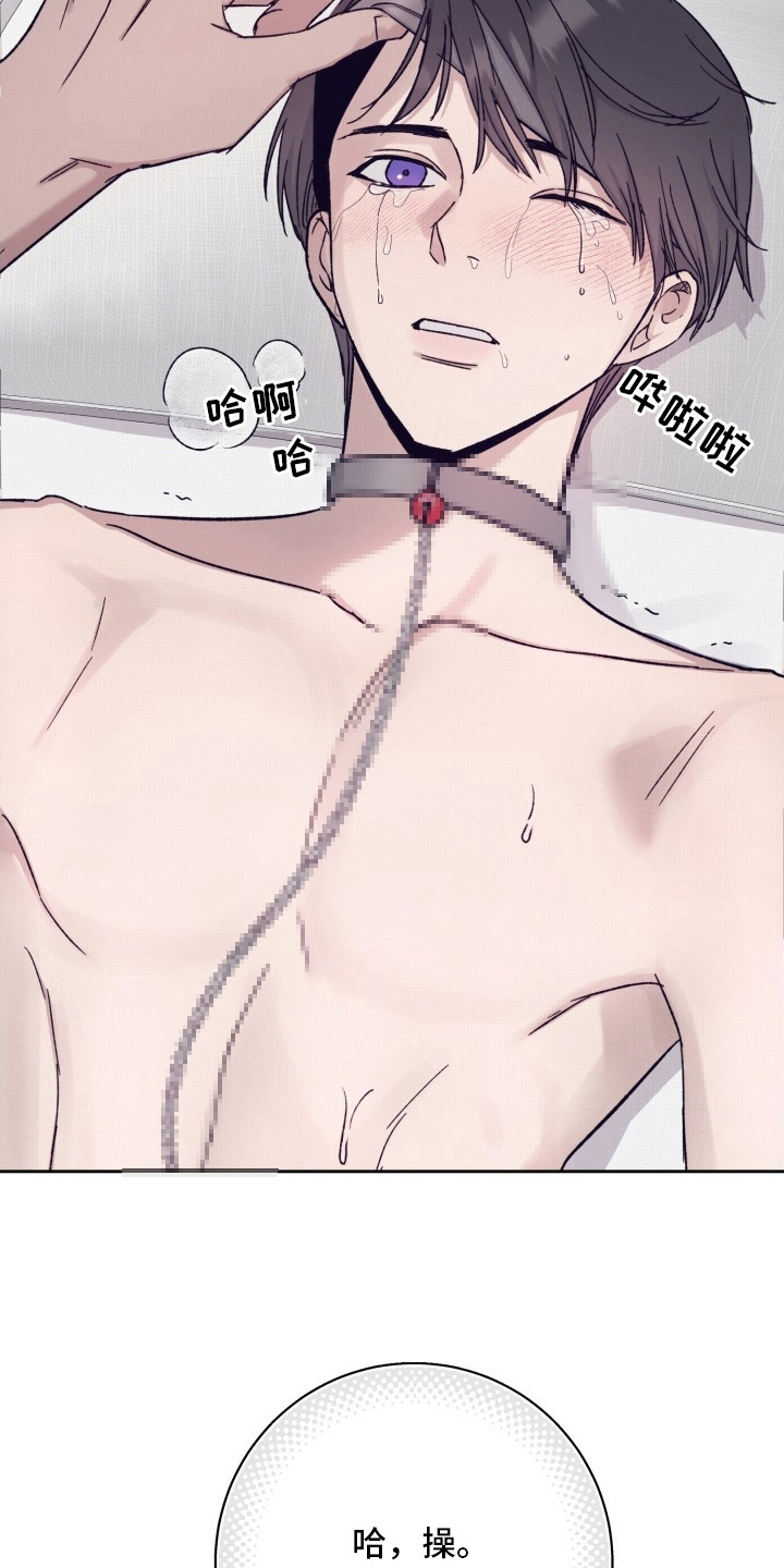 第11话：第11章：案例（完结）预览分镜
