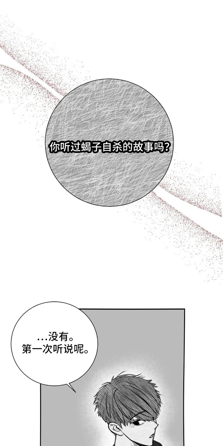 第1话：第1章：你的选择预览分镜