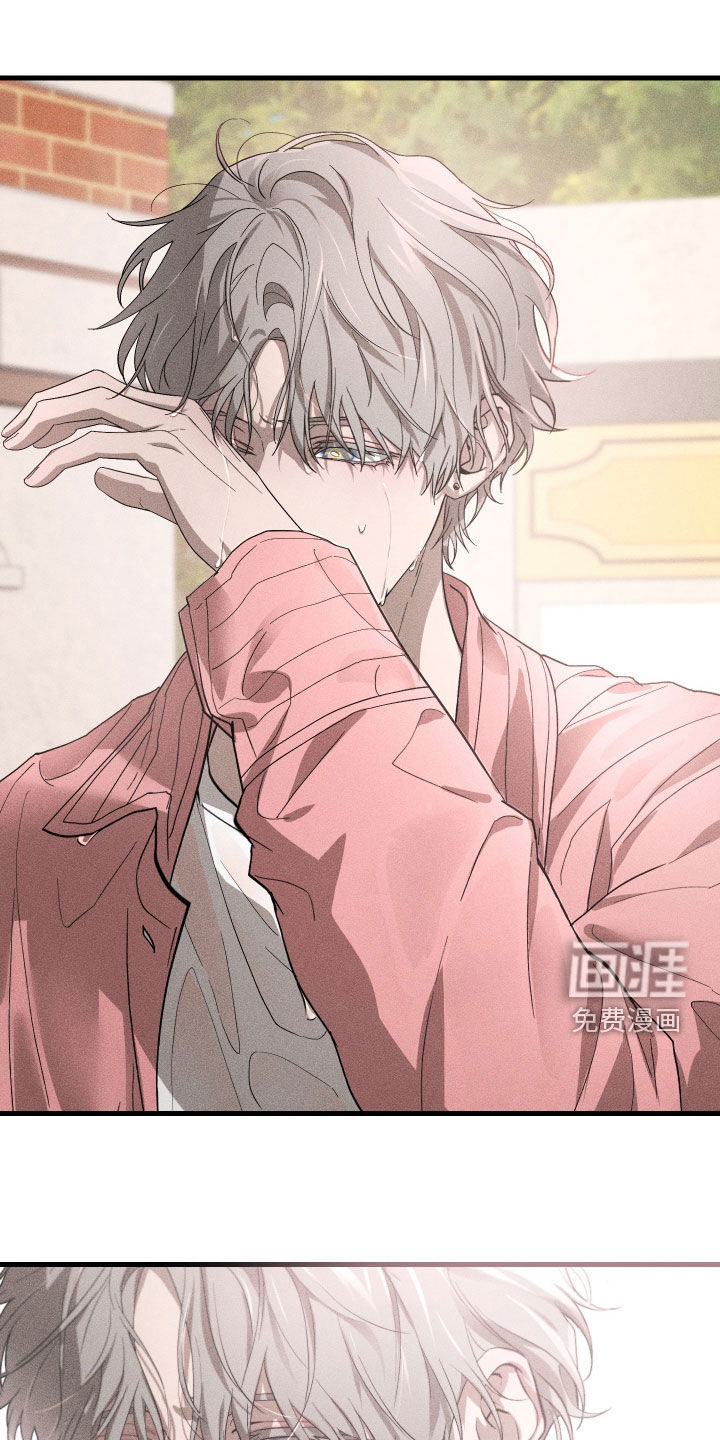 第15话：第15章：是爱情啊预览分镜