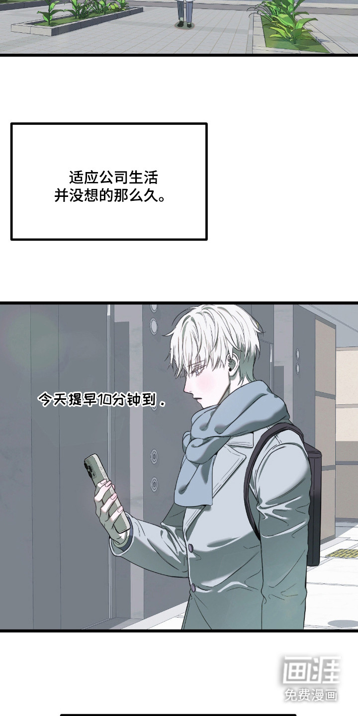 第12话：第12章：逐渐适应预览分镜