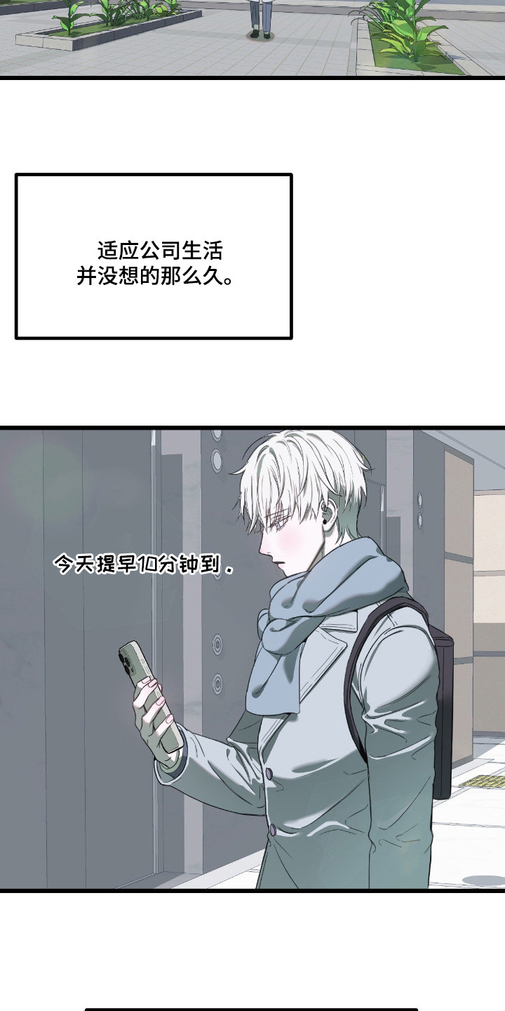 第12话：第12章：逐渐适应预览分镜