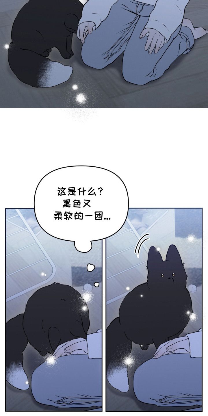 第2话：第2章：领养预览分镜