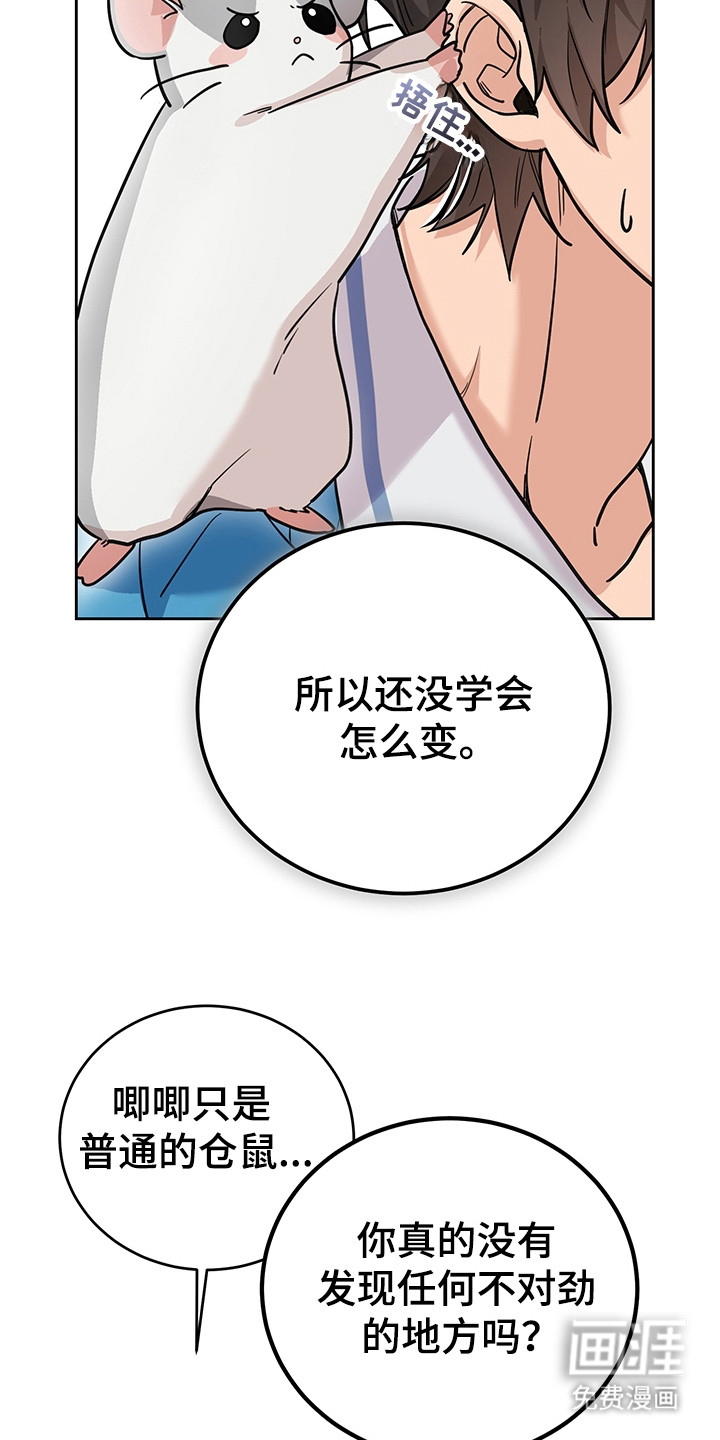 第4话：第4章：系统Bug预览分镜