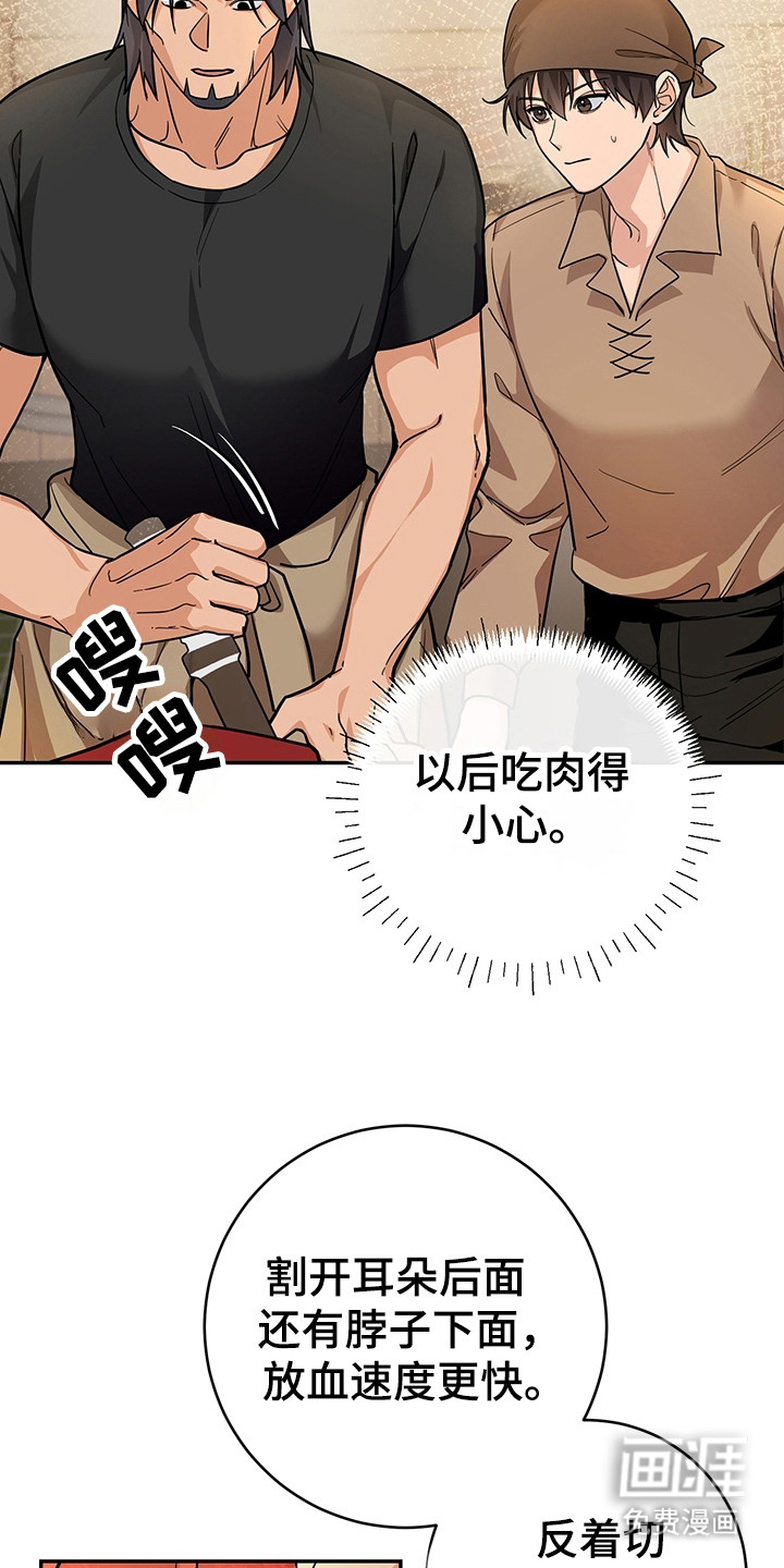 第13话：第13章：屠宰预览分镜
