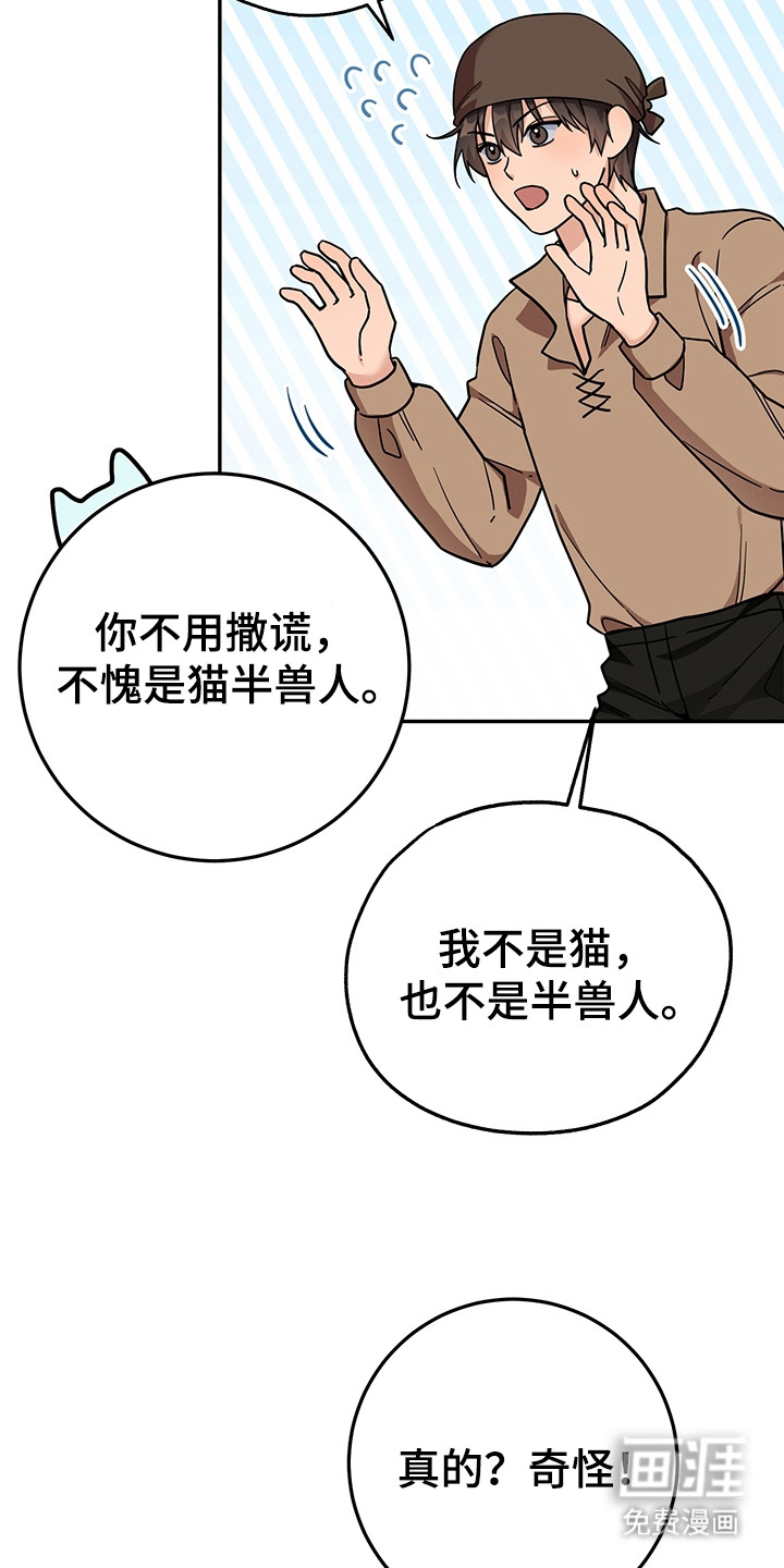 第16话：第16章：半兽人预览分镜