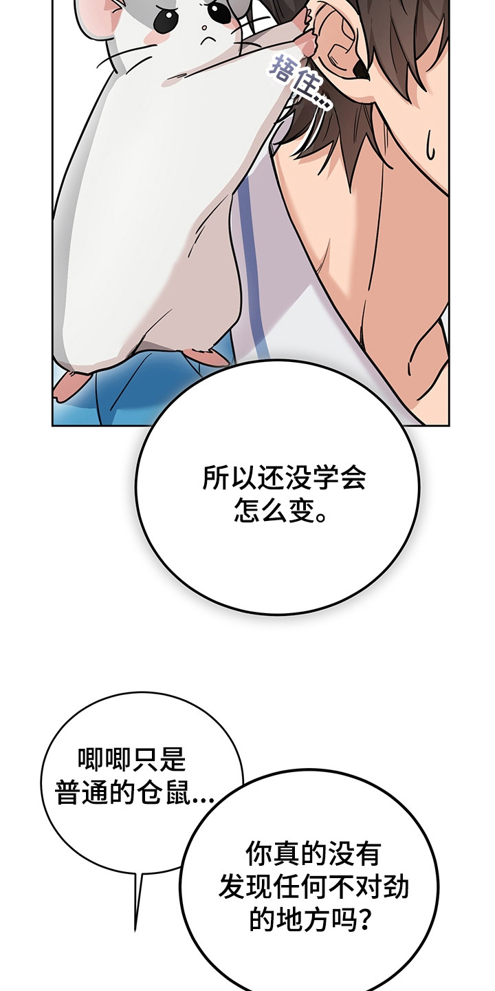第4话：第4章：系统Bug预览分镜