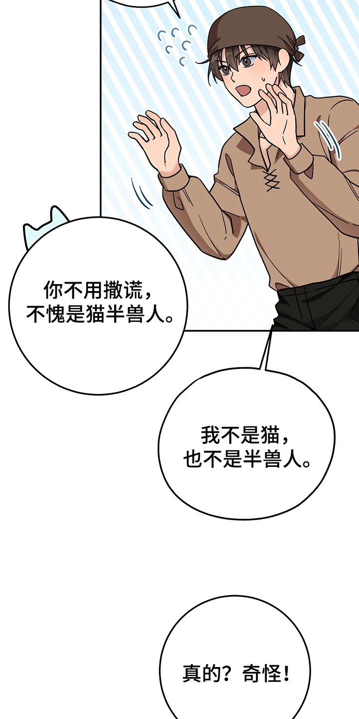 第16话：第16章：半兽人预览分镜