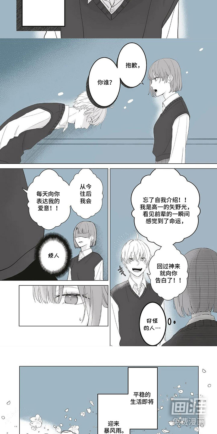 第1话：第1章：一定是命运预览分镜