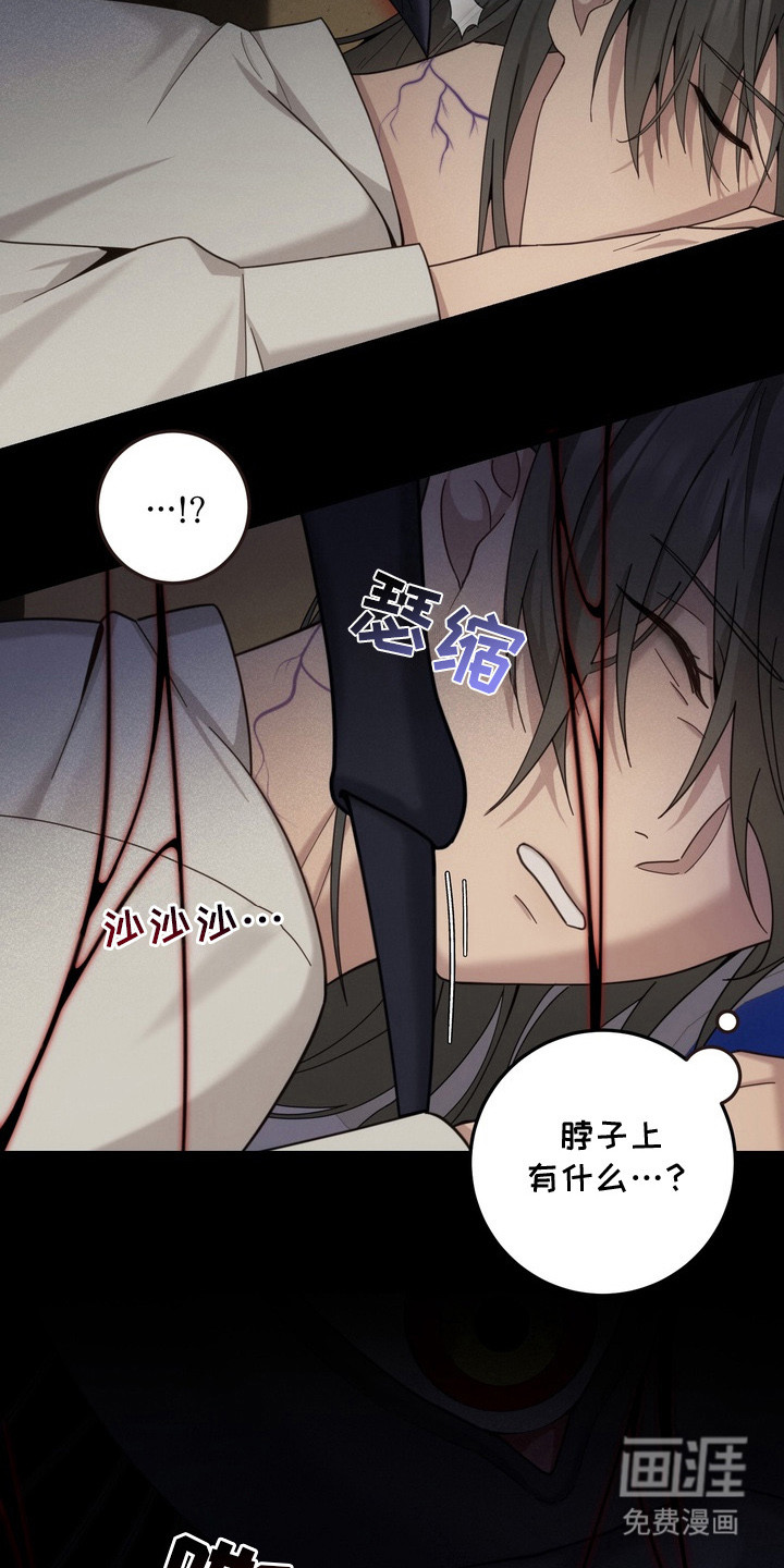 第5话：第5章：蜘蛛预览分镜