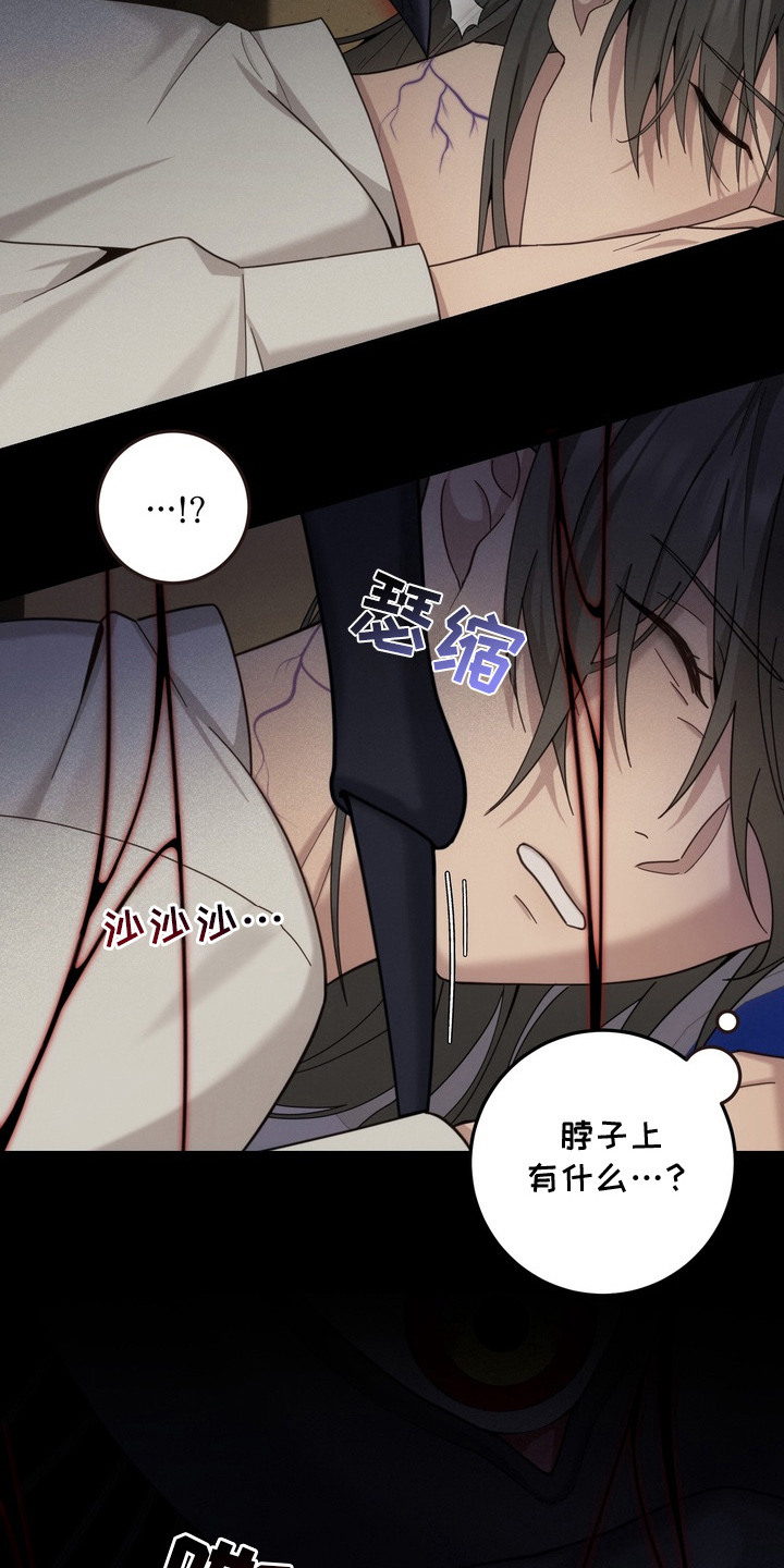 第5话：第5章：蜘蛛预览分镜