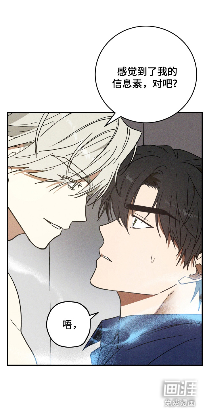 第13话：第13章：信息素预览分镜