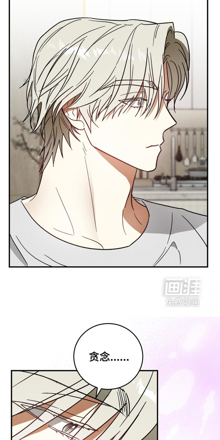 第16话：第16章：记住你的本分预览分镜