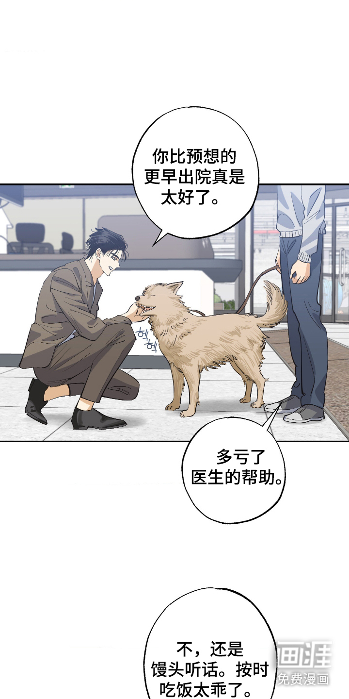 第10话：第10章：你这个骗子预览分镜