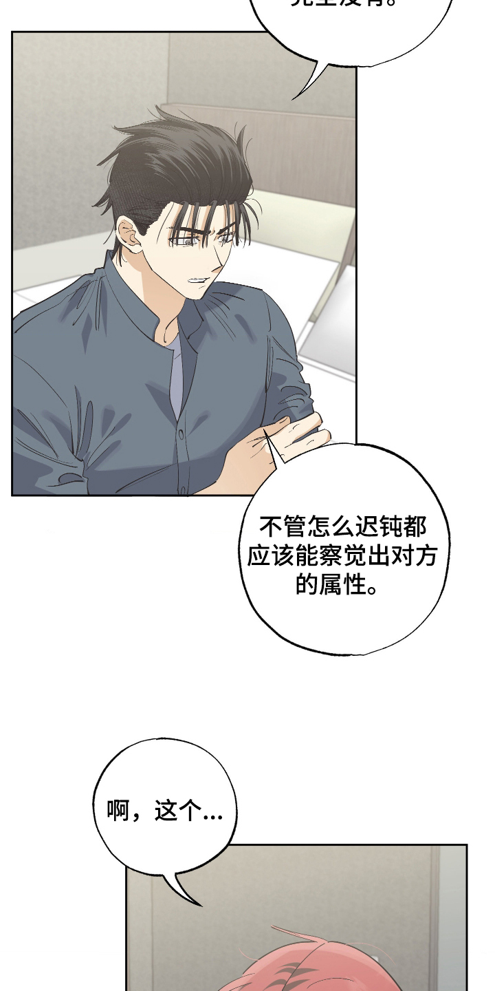 第5话：第5章：不要报警！预览分镜