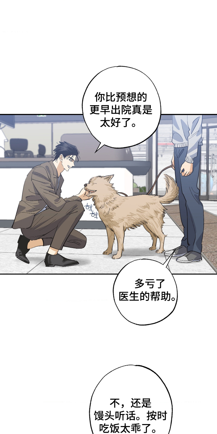 第10话：第10章：你这个骗子预览分镜