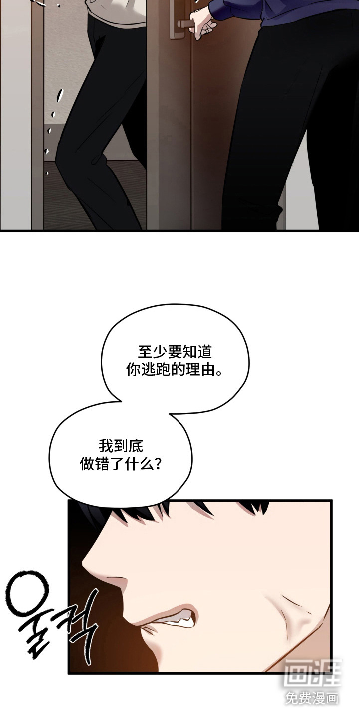 第14话：第14章：解释预览分镜