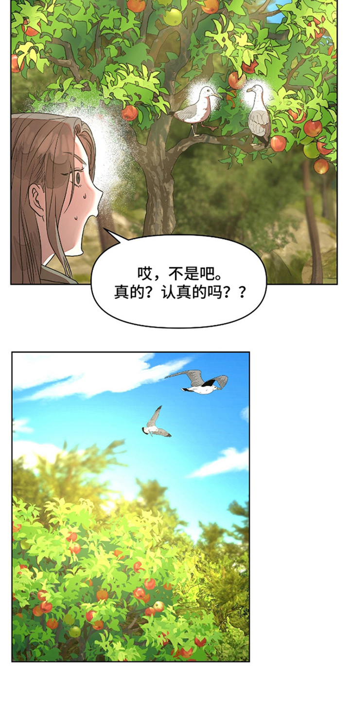 第5话：第5章：精华预览分镜