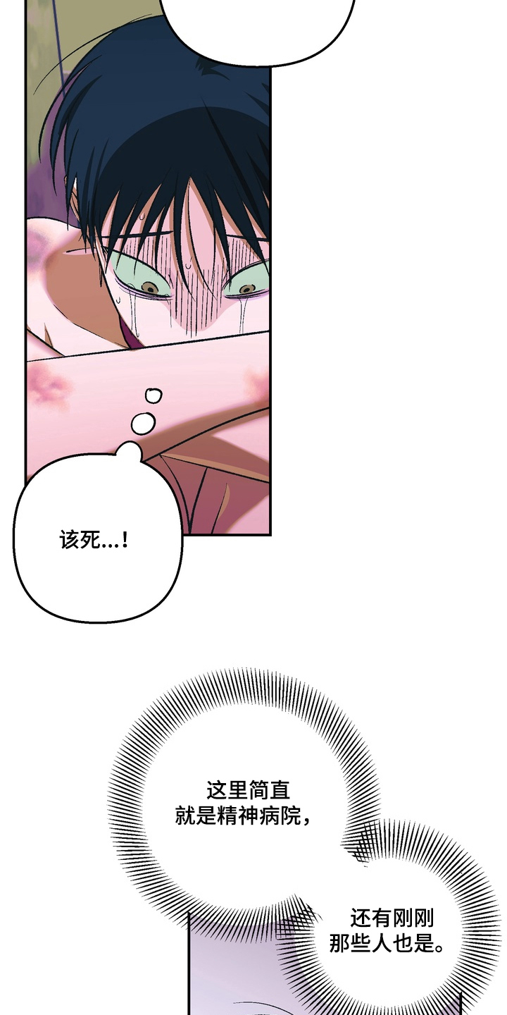 第4话：第4章：一周的教育预览分镜