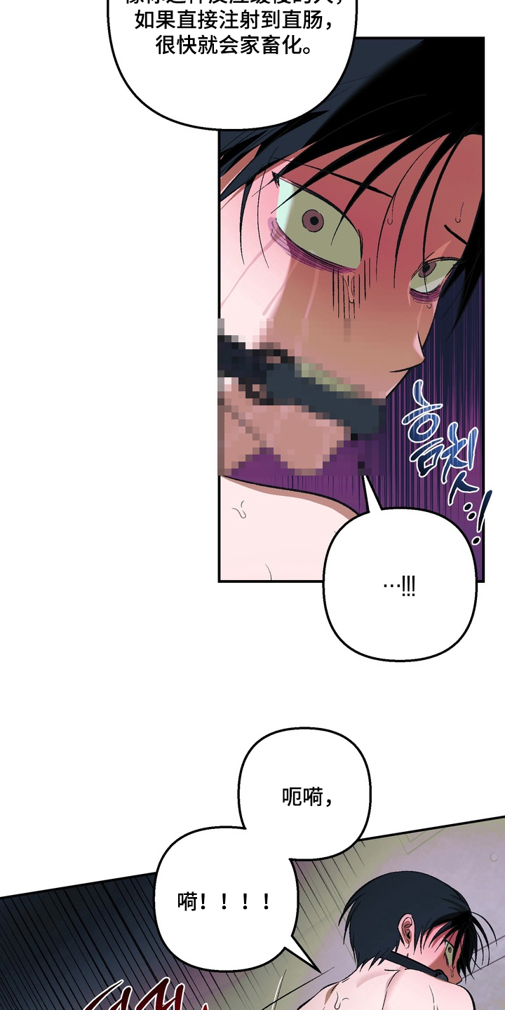 第5话：第5章：没用预览分镜