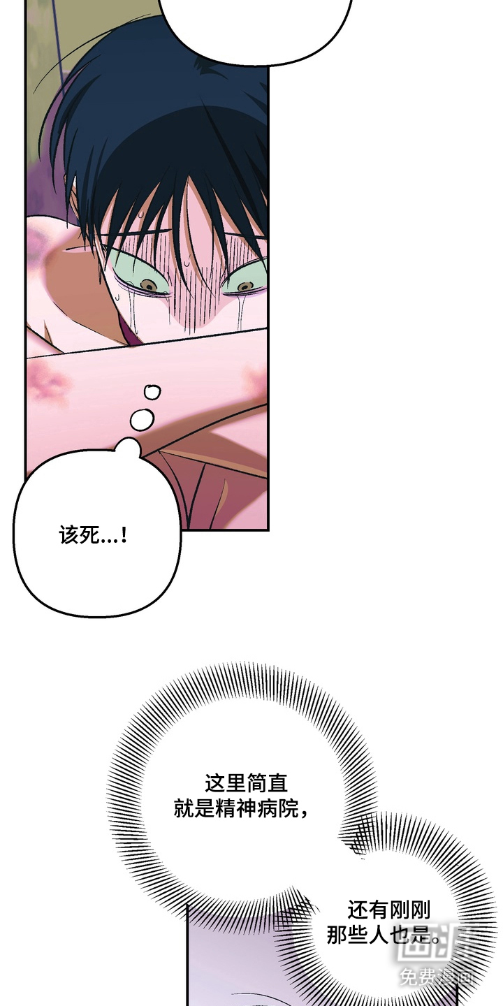 第4话：第4章：一周的教育预览分镜