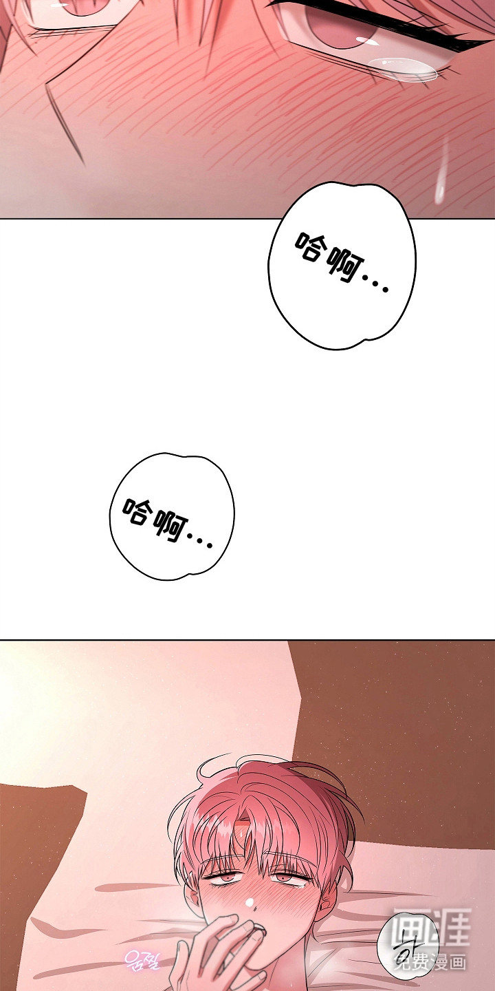 第17话：第17章：晕头转向预览分镜