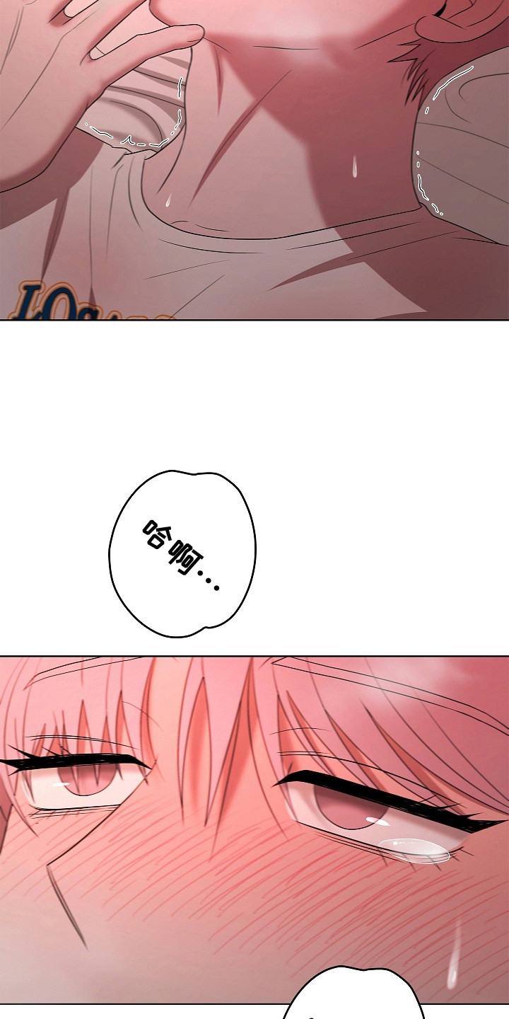 第17话：第17章：晕头转向预览分镜