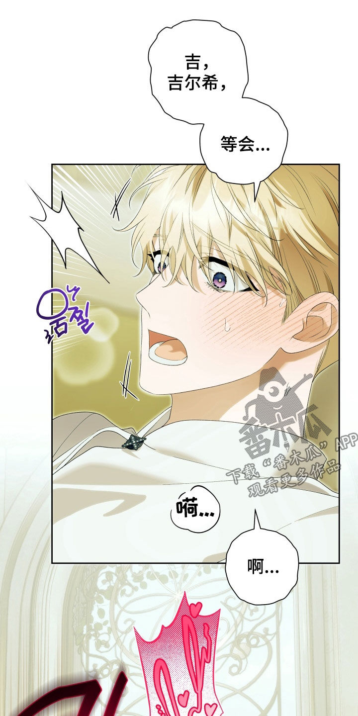 第17话：第17章：希望你能幸福预览分镜