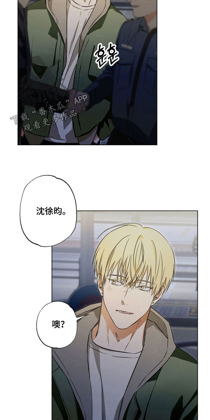 第16话：第16章：烦死了预览分镜