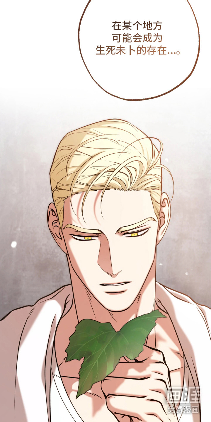 第15话：第15章：头疼预览分镜