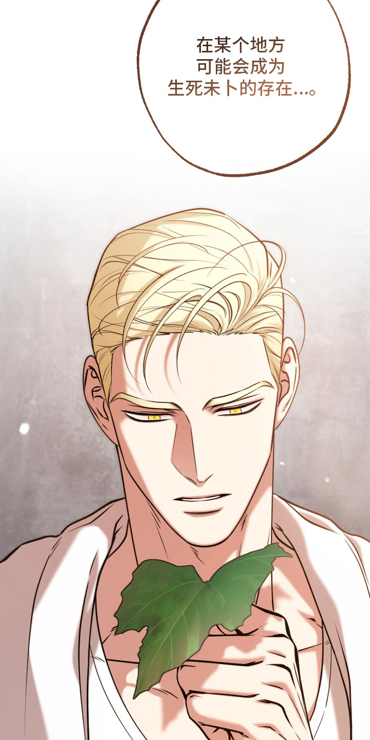 第15话：第15章：头疼预览分镜