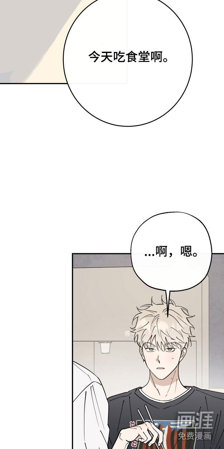 第14话：第14章：搬到一起预览分镜