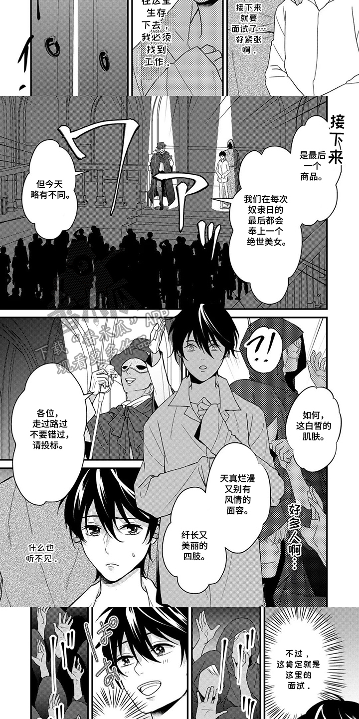 第2话：第2章：中标预览分镜