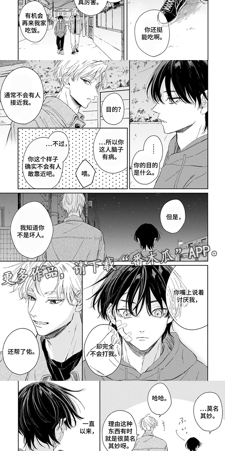 第4话：第4章：可爱的家伙预览分镜