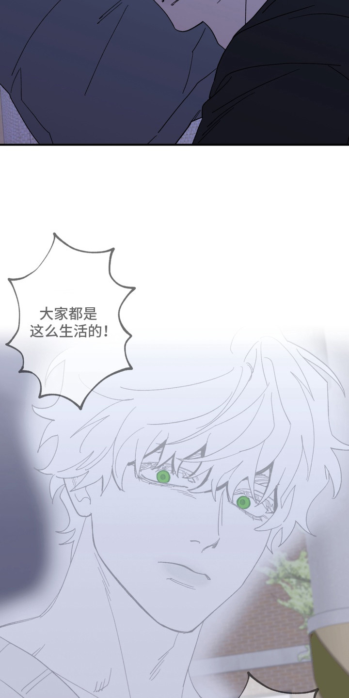 第7话：第7章：过意不去预览分镜