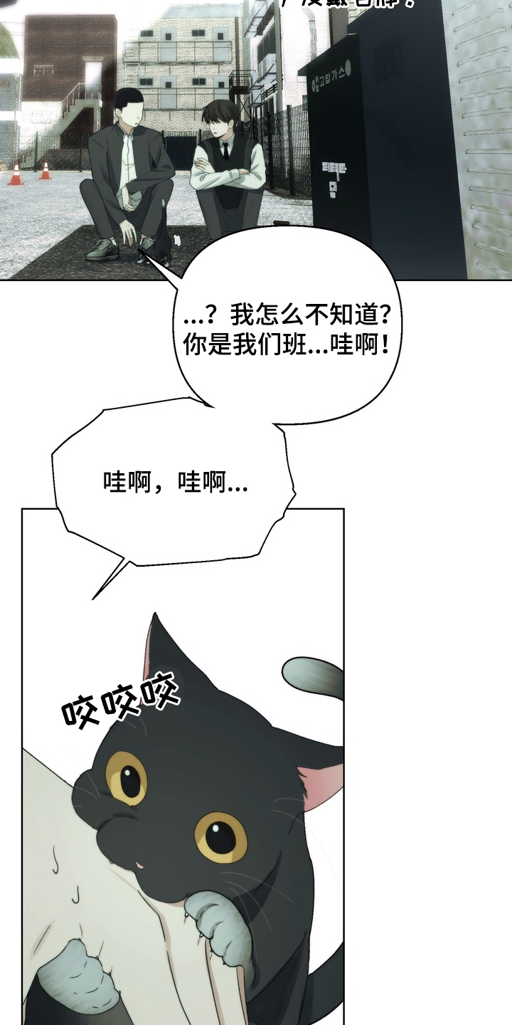 第5话：第5章：专心学习预览分镜