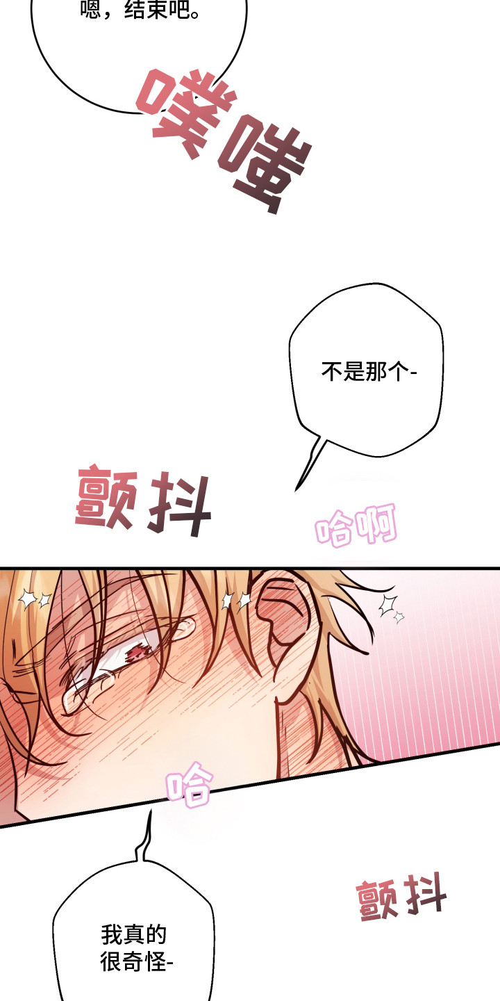 第17话：第17章：真的喜欢（完结）预览分镜