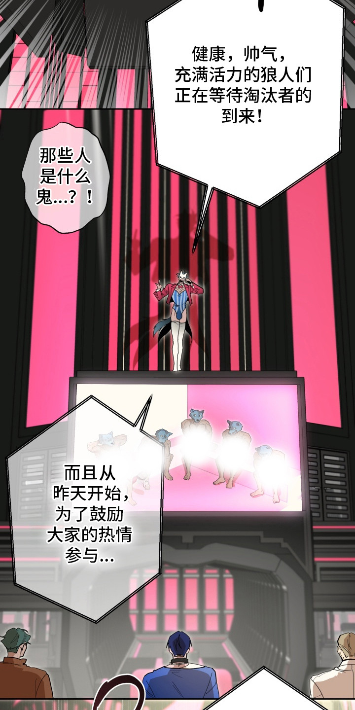 第4话：第4章：眼神火热预览分镜