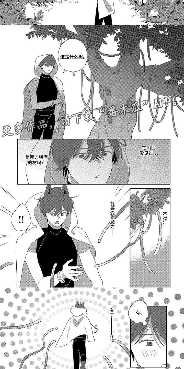 第7话：第7章：树魔物预览分镜