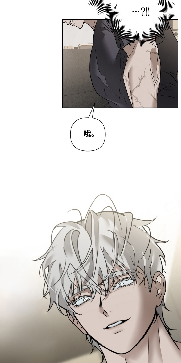 第2话：第2章：低语预览分镜