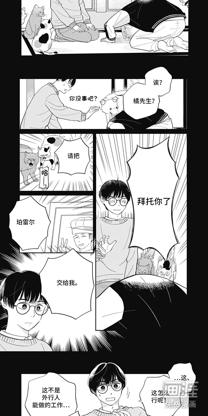 第2话：第2章：糕点师预览分镜