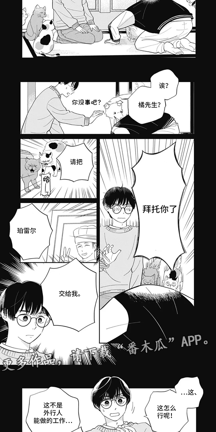 第2话：第2章：糕点师预览分镜