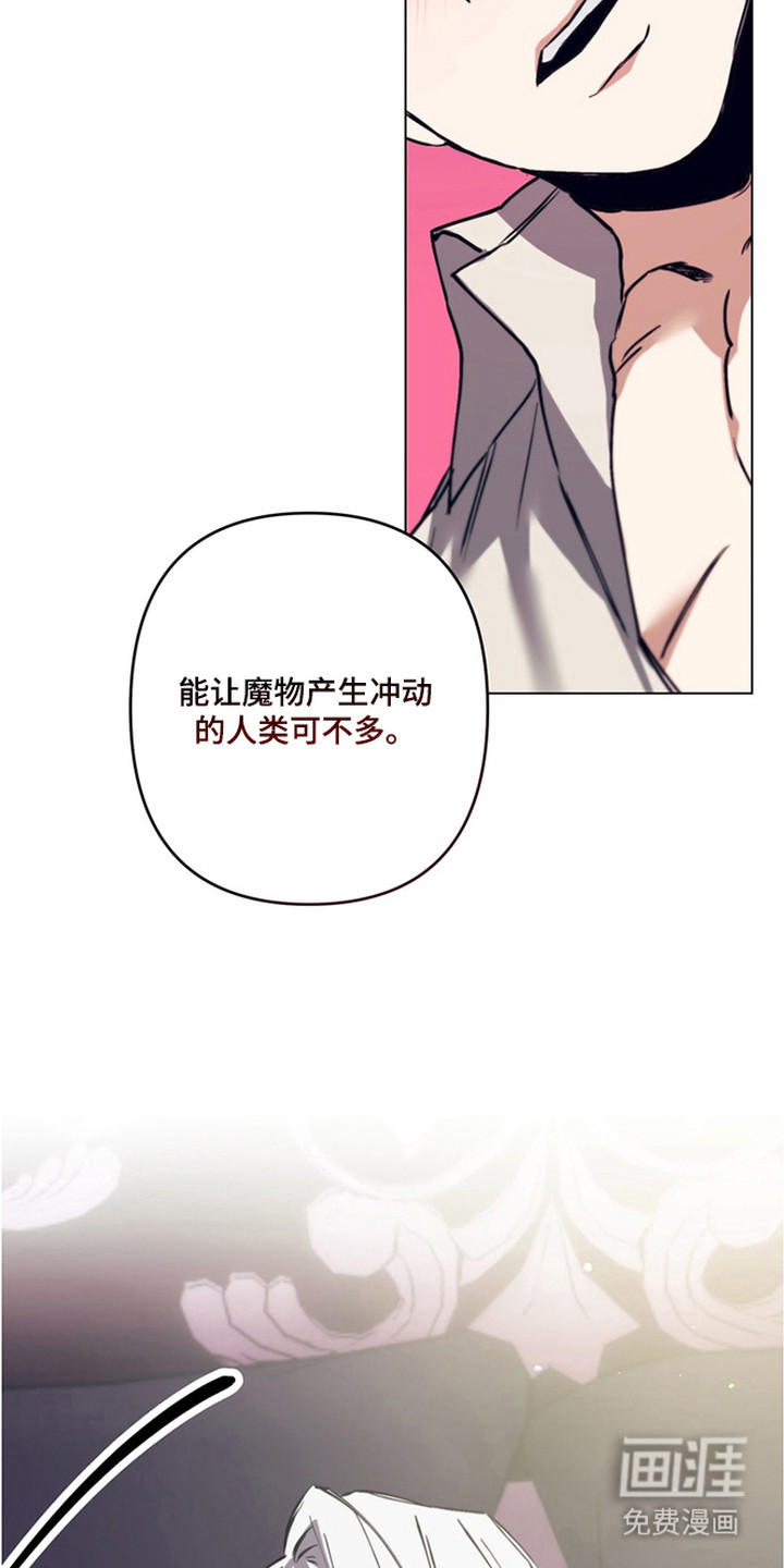 第11话：第11章：魔物蛋预览分镜