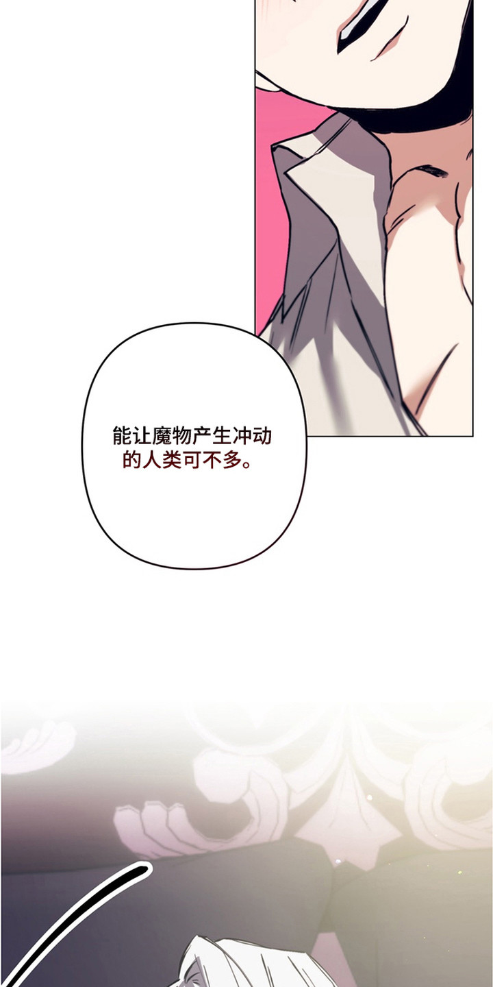 第11话：第11章：魔物蛋预览分镜